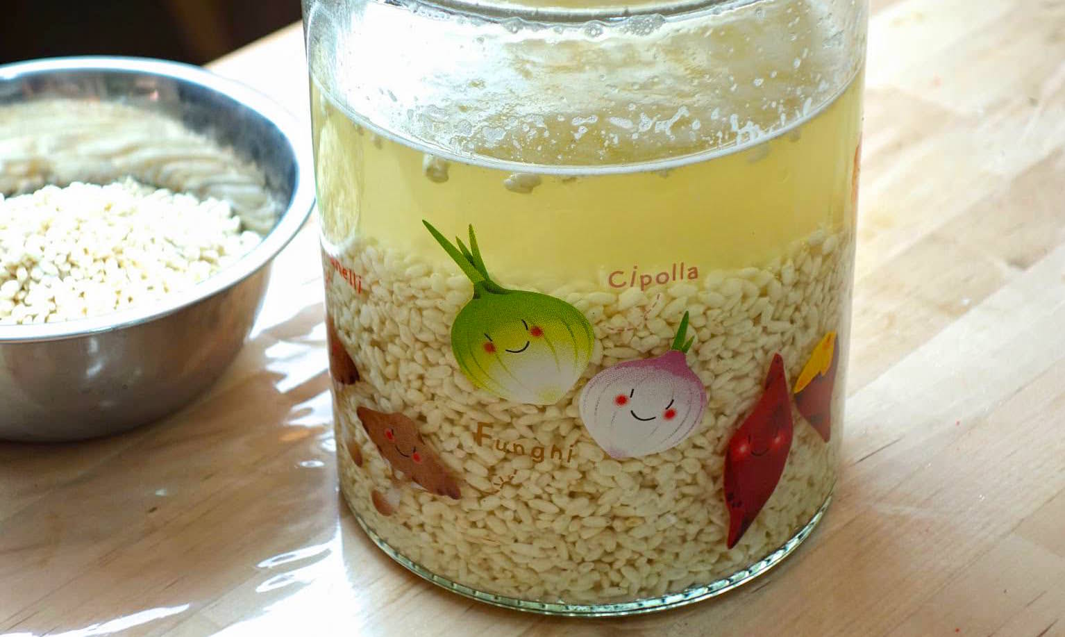 「如何自製天然萬用鹽麴？」日本盛行最有魅力的調味料，你一定要學起來！