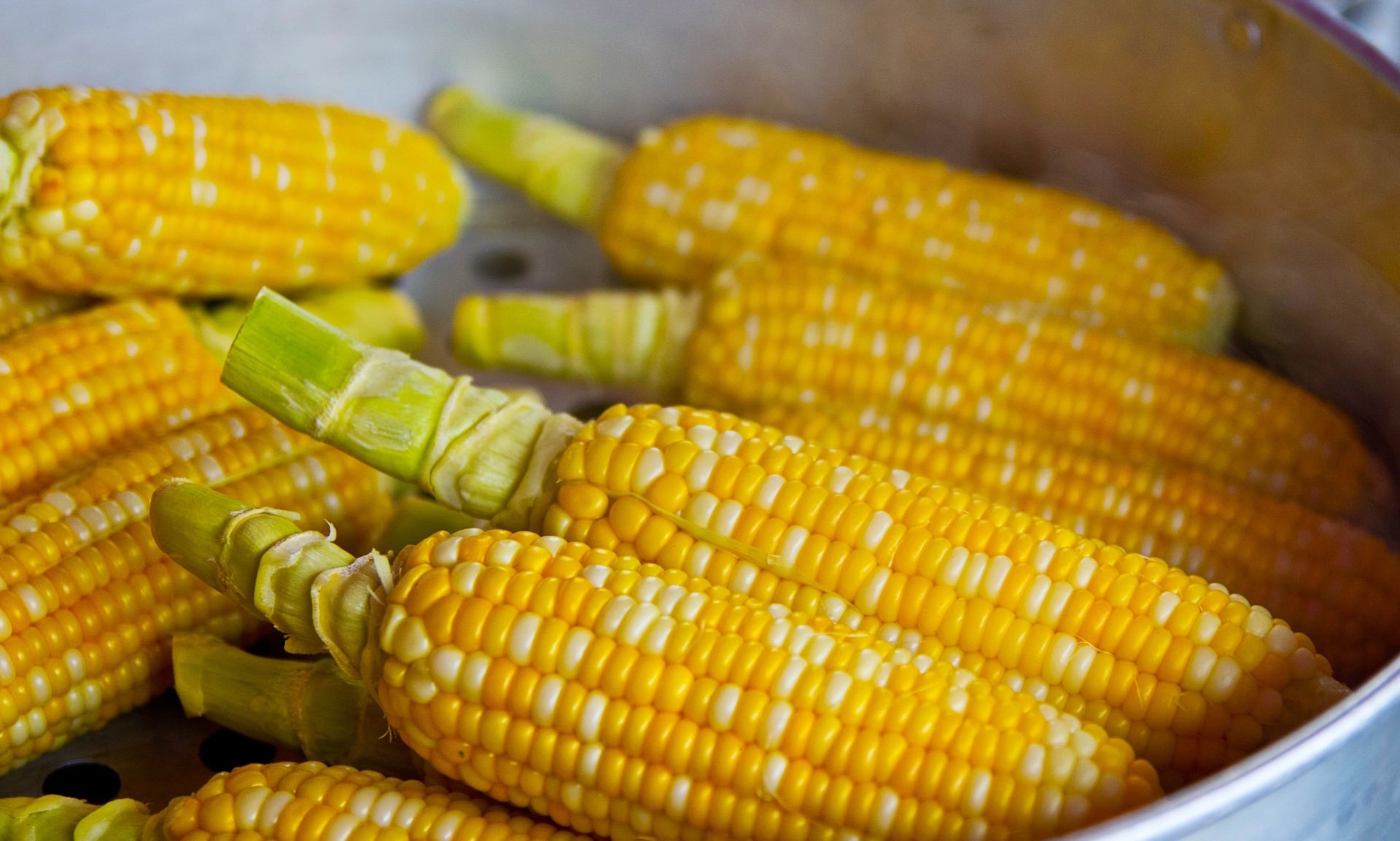 「煮玉米要用冷水還是熱水下鍋？」難怪玉米會又老又硬，教你讓玉米更鮮嫩好吃的做法！